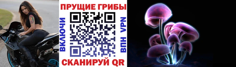 Псилоцибиновые грибы GOLDEN TEACHER  Купить  Зеленодольск 